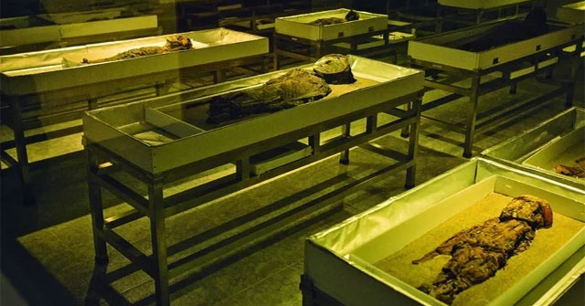 The 7,000-year-old mummy is included in the World Heritage list