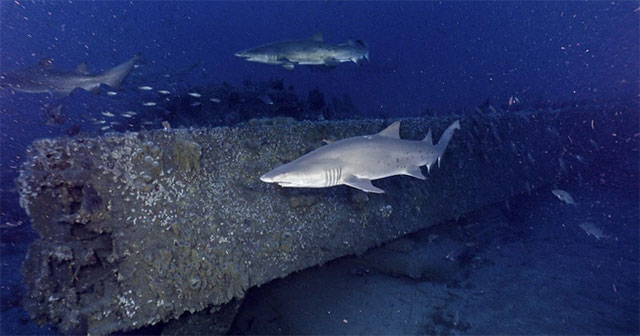 The 'amazing' condition of the wreck from 160 years ago