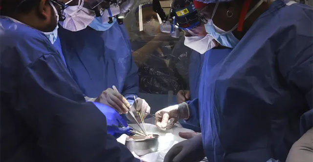 The big question after the first pig heart transplant for humans