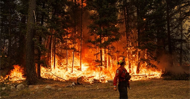 The cause of fierce forest fires in Canada