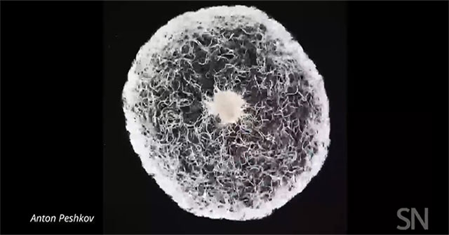 The complicated way of moving thousands of vinegar worms in a drop of water
