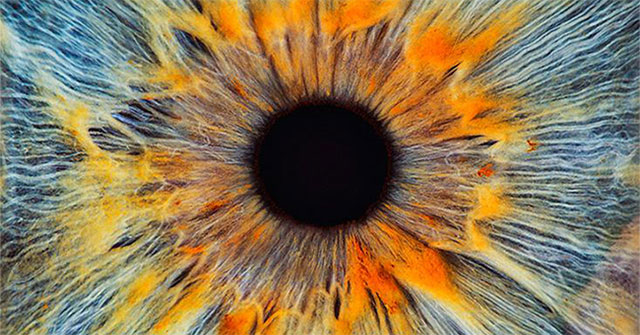 The definition of death has been shaken: Scientists revive a pair of human eyes that died after 5 hours