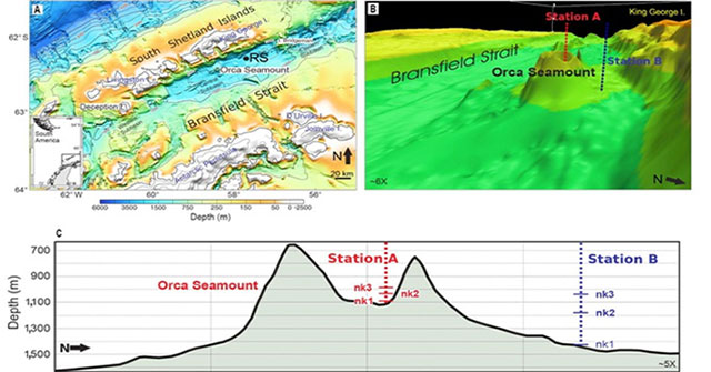 The earth shakes 85,000 times because the 'fire monster' under the sea rises
