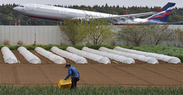 The farmer refused 40 billion in compensation to grow vegetables in the middle of the airport