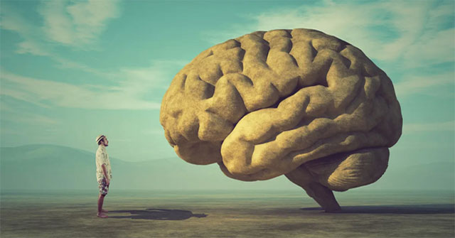 The growing brain affects human health
