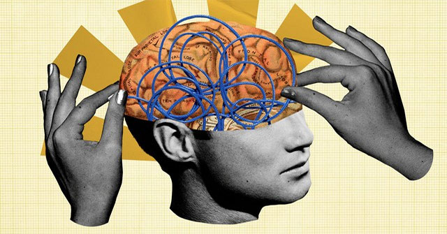 The hidden fuel of the human brain: How gut bacteria shape intelligence?