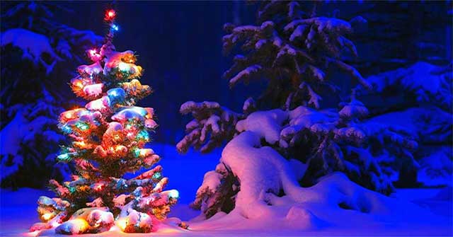The meaning of Christmas tree lighting ceremony