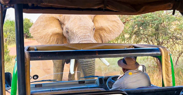 The moment a ferocious elephant rushed in to attack, tossing a car carrying many tourists