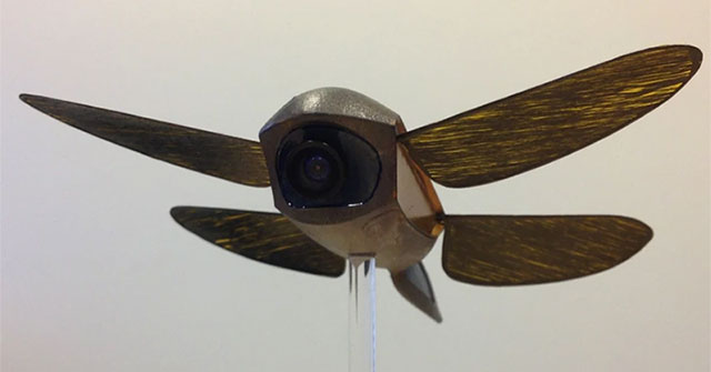 The Mystery of Biology: Why Can't We Build Airplanes With Wings Like Dragonflies?