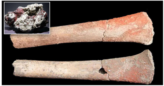 The mystery of deaths 5,000 years ago related to mercury poisoning