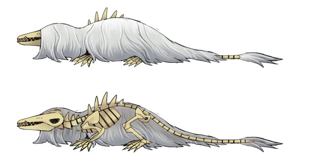 The mystery of the hairy monster corpses washing up on the beach