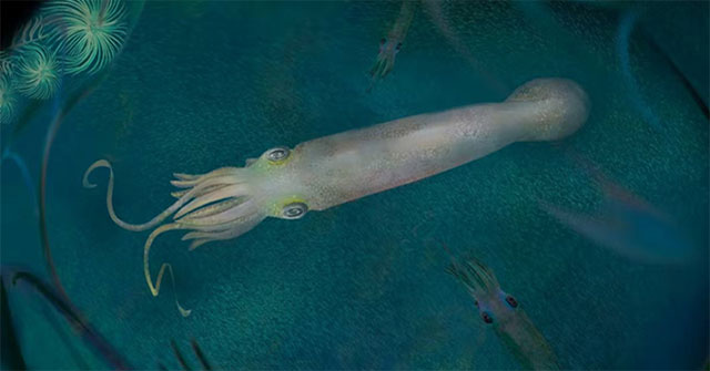The oldest species of 'vampire squid' is named after US President Joe Biden