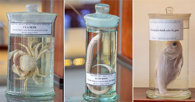 The only museum not for the faint of heart in Vietnam