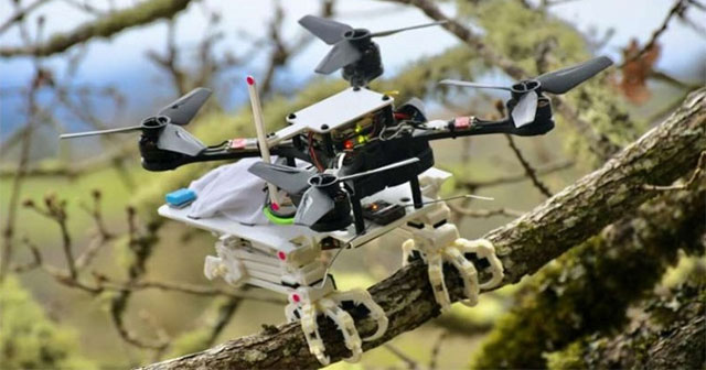 The robot has magical legs of a bird, can sit on a tree branch, and dress like a 'real thing'