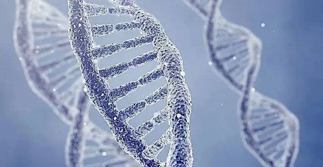 The Scary Truth About Inbreeding: The Curse of Genes, Nature's Last Line of Defense!