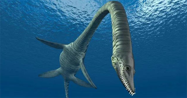 The shocking part that upgrades the Jurassic 'snake head' into a monster