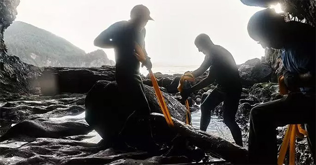 The Spanish ghost ship that disappeared 4 centuries ago 'appeared' in the US