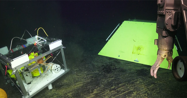 The story of the crab and the seismometer on the ocean floor