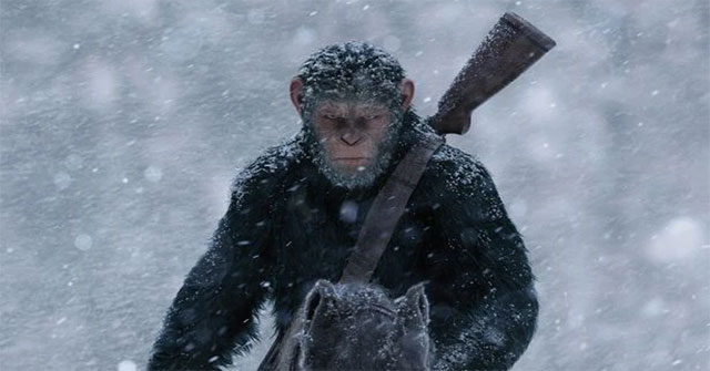 The story of the 'human chimpanzee': Walking on two legs, liking women and the tragedy of the end of life