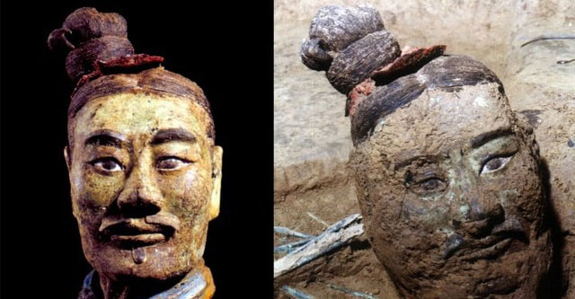 The truth about white 'flowers' blooming under the microscope of the terracotta army