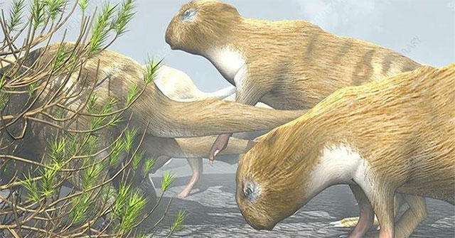 The truth that makes the scientific world semi-credible: Prehistoric rats were as big as today's horses?