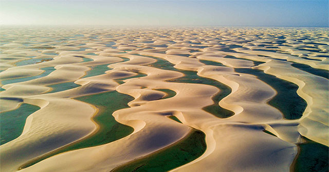 The 'weirdest desert in the world': The golden sand dunes are nowhere to be seen, only a lake with fish and shrimp