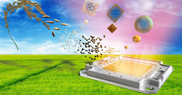 The world's first LED light made from rice husks