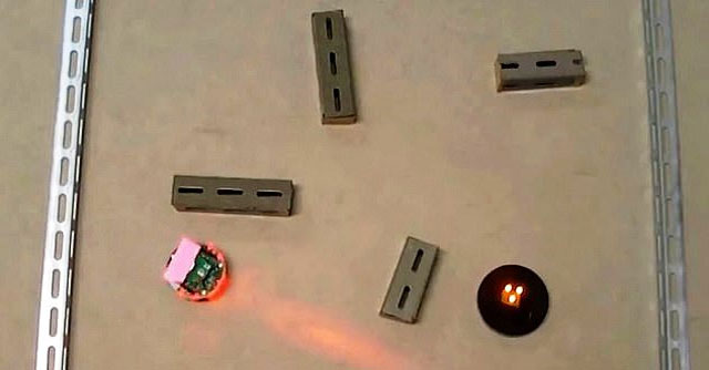 The world's first 'thinking' robot developed from brain cells