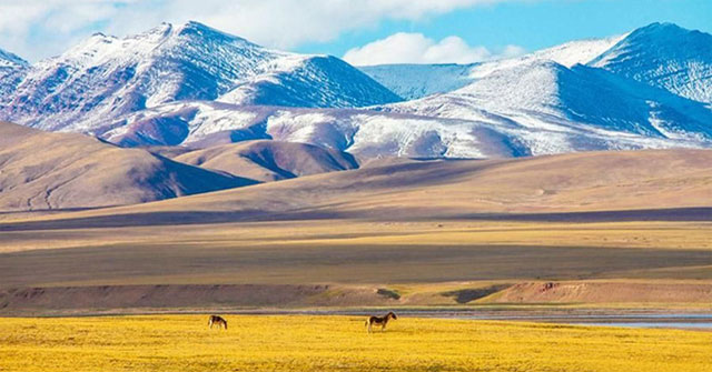 The world's largest upland human gene bank