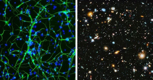 There is a hidden universe inside our bodies and this is proof