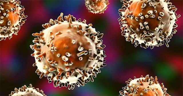 There is evidence of mysterious cells in the human immune system