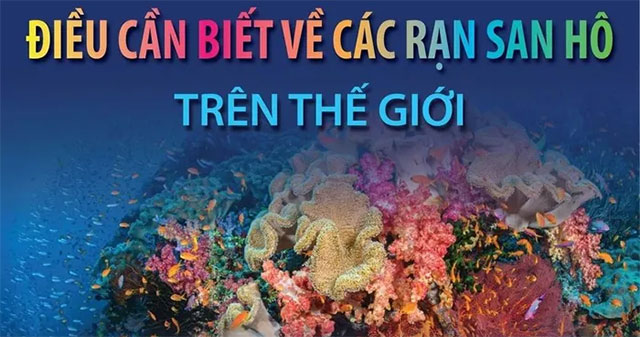 Things to know about coral reefs around the world