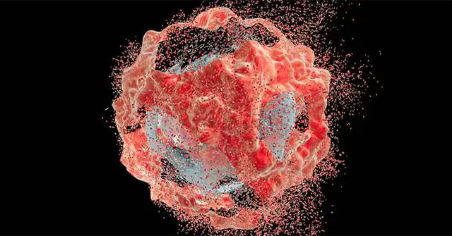 This cancer cell has been nurtured for 70 years, the volume alone is more than 50 million tons