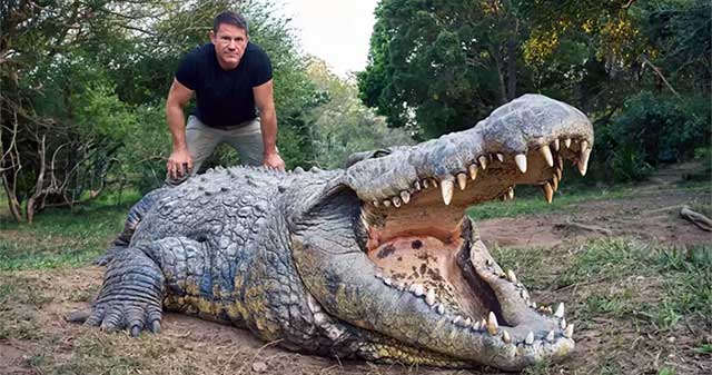 This is the oldest crocodile in the world