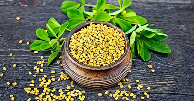 This precious plant is considered 'natural insulin', helping to effectively lower blood sugar and nourish the liver