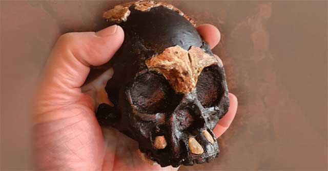 Tiny skull: 'ghost humans' live side by side with us for 100,000 years