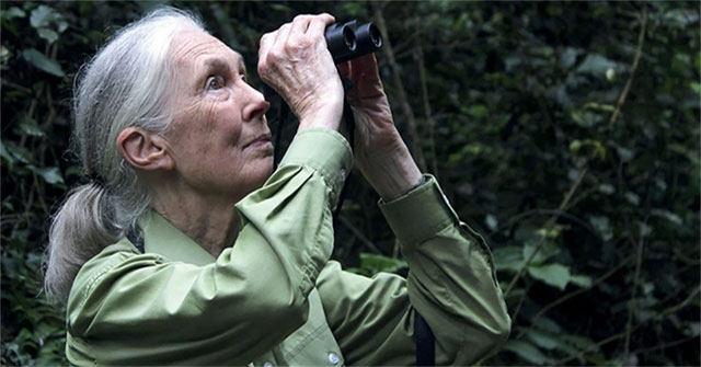 Top 5 female scientists who changed the world