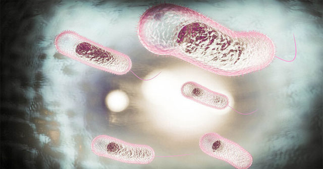 Top 7 most terrifying infectious diseases in human history