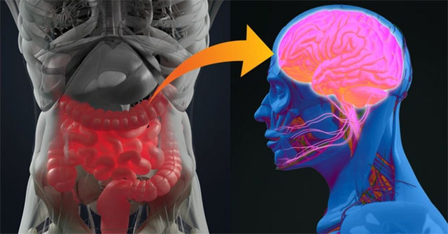 Top 8 body parts that hide many interesting things that even you yourself don't know