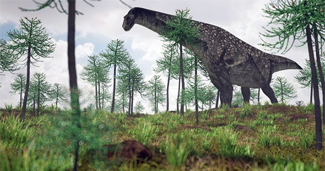 Top 8 largest dinosaurs on prehistoric Earth