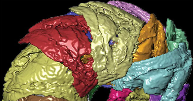 Two extinct creatures appeared intact after 400 million years