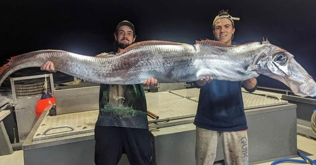 Two men go fishing and catch a giant oarfish