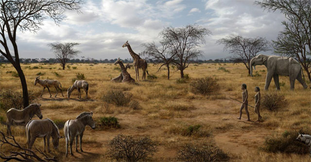 Two million years ago, a dish turned hominids into humans?