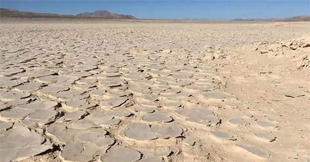 Under the 'death ground' of Earth, strange creatures reveal the life of Mars