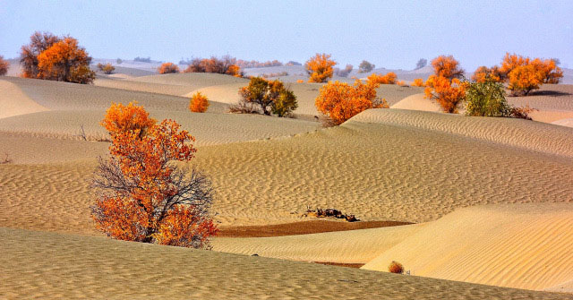 'Underground ocean' under the desert with the amount of water equal to 8 Chinese Yangtze rivers