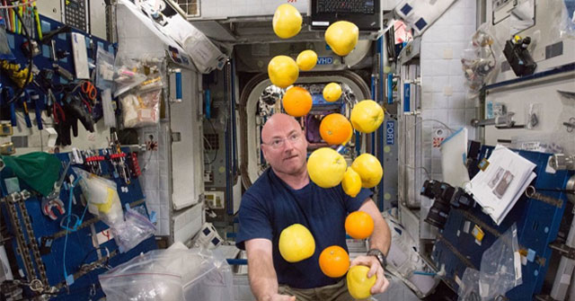 Unique idea wins NASA space food contest