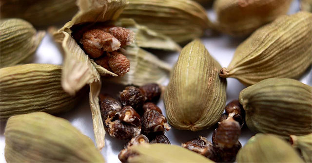 Unique spice top 3 most expensive in the world, takes at least 2 years to bear fruit, Vietnam has a lot