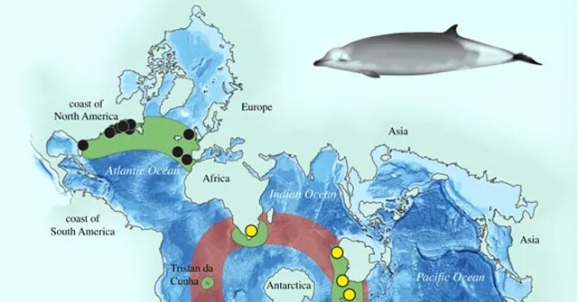 Unknown scientific giants, appearing all over the Southern Hemisphere