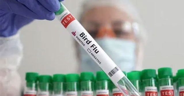 US records case of bird flu not transmitted through animals