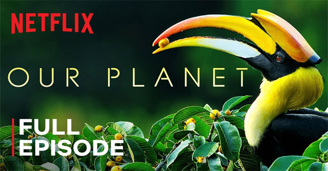 Video: Complete documentary Our Planet - Our Planet